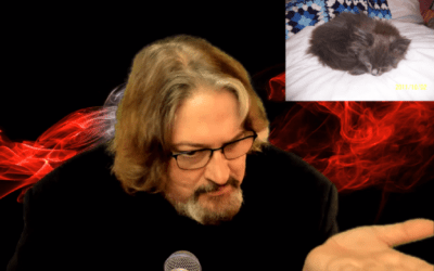 DEATH, CATS, Unplanted FIELDS, CARNEY’S Agenda, IRAN & TRUMP